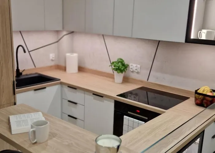 아파트 Magic House Proszowska 58 보치니아